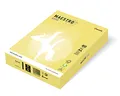 MAESTRO color TREND 160g 250 lapos citromsárga - ZG34