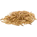 Következő termékkép Lisztkukac, lisztkukac szárítás, 200 g