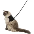 Következő termékkép Puha hám pórázzal macska XL 36-54cm / 1,20 m fekete