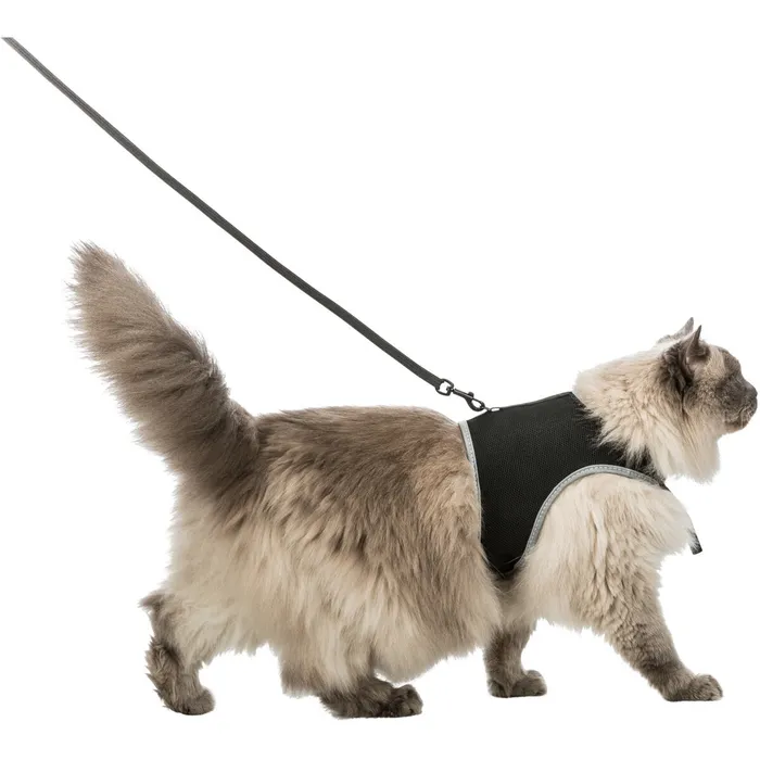 Termék főképe Měkký postroj s vodítkem pro kočku XL 36-54cm / 1,20 m černý