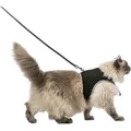 Következő termékkép Puha hám pórázzal macska XL 36-54cm / 1,20 m fekete