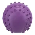 Következő termékkép Golyó tüskékkel és hanggal 6 cm