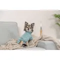 Következő termékkép Mikina LITTLETON, mátováXS: 27cm, hruď: 36cm, krk: 28cm