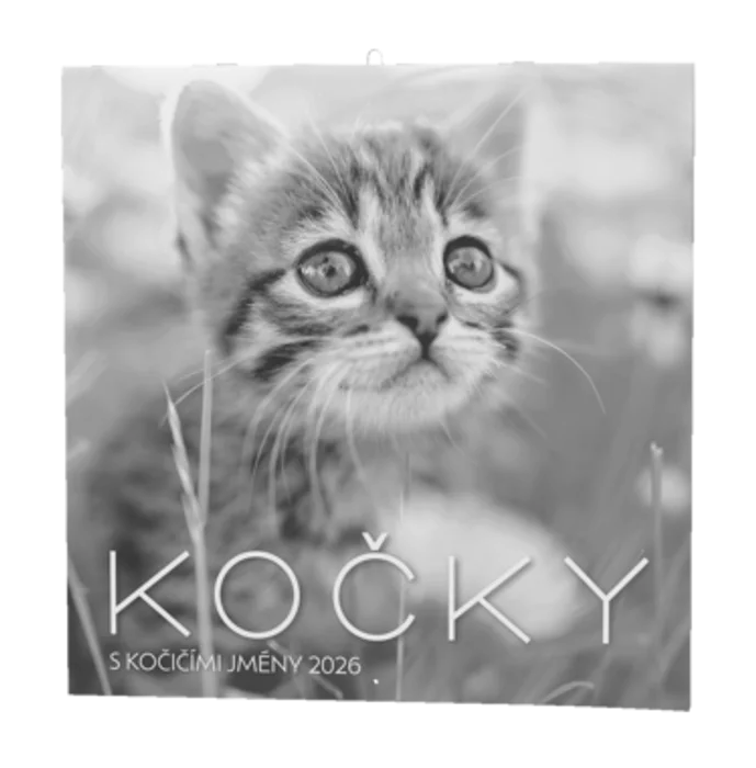 Termék főképe Nástěnný kalendář - Kočky
