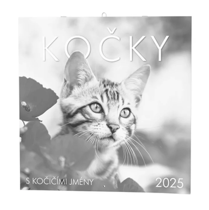 Termék főképe Nástěnný kalendář - Kočky