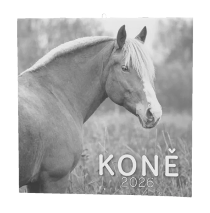Termék főképe Nástěnný kalendář - Koně