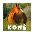 Fali kalendár - Kone