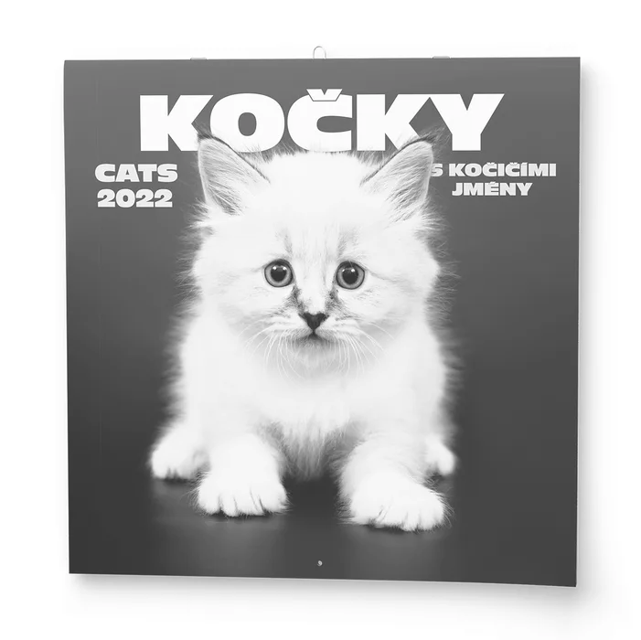 Termék főképe Nástěnný kalendář - Poznámkový - Kočky