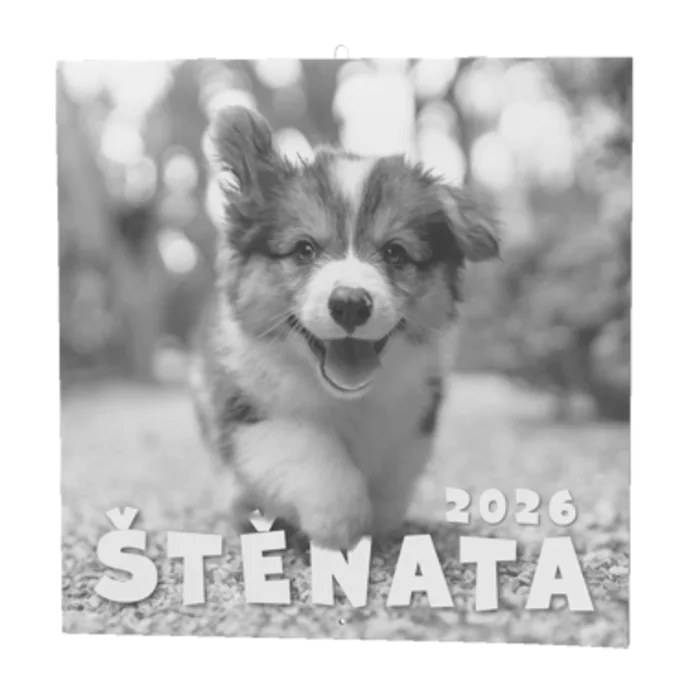 Termék főképe Nástěnný kalendář - Štěňata