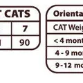 Következő termékkép Természetes nagyság csúcshegyi macska receptje /nyúl/ 15 kg