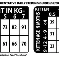 Következő termékkép Natural Woodland Backwoods Diet Cat & Kitten /vepřové/5 kg
