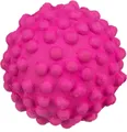 Következő termékkép Neon golyó tüskés mohagumival 7cm TRIXIE