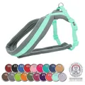Következő termékkép Nylon heveder PREMIUM bélelt - grafit XS-S: mellkas: 30-55cm/15mm