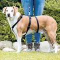 Következő termékkép STAY nylon heveder (kiszökésgátló) S-M: mellkas: 40-65cm/15mm