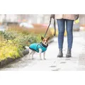 Következő termékkép PONTIS öltöny - mellény hevederrel, türkiz S: 40 cm, mell: 58-62 cm, nyak: 46 cm