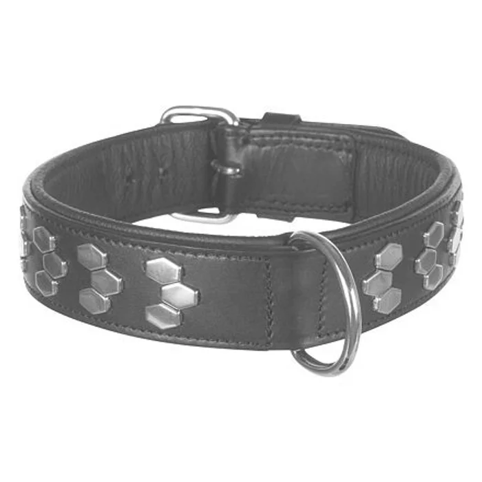 Termék főképe Obojek ACTIVE kožený - černý L-XL:55-65cm/40mm