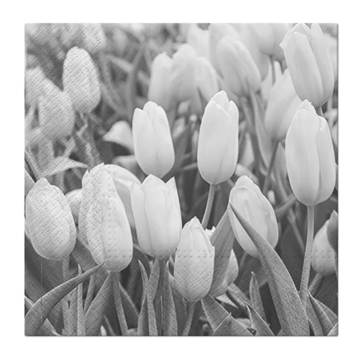 Termék főképe Obrúsky PAW L 33x33cm Tulips Field