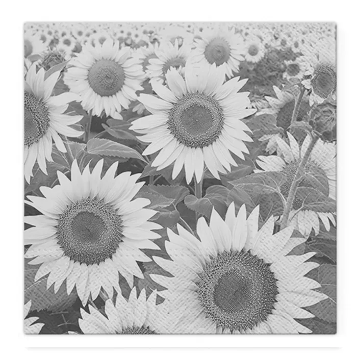 Termék főképe Obrúsky TaT 33x33cm Sunflowers Field