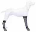 Következő termékkép Szilikon védőzokni, szürke S: 6 cm/30 cm, pl. Jack Russel terrier