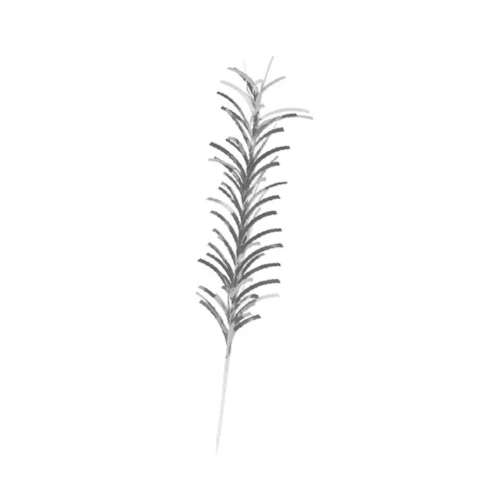 Termék főképe Palmička SPIKES 210 mm [50 ks]