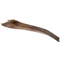 Következő termékkép Papah fa - pálmalevél 50-65 cm mászó hüllők számára (6 db)