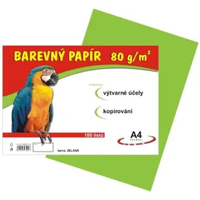 művészeti oktatás papír A4/100/80g világoszöld