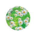 Papírtányérok átmérője 23 cm SEDMIKRÁSKA [10 db.]
