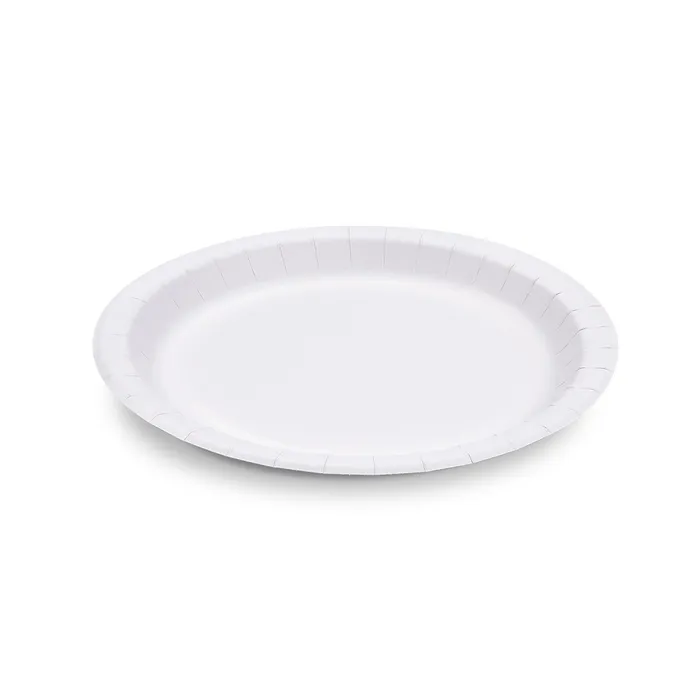 Termék főképe Papírový talíř (FSC Mix) extra-pevný bílý průměr 23cm [100 ks]
