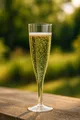 Következő termékkép Műanyag pezsgős pohár (PS) két darabos fekete talppal átmérő 60mm 0,1L [20 db]