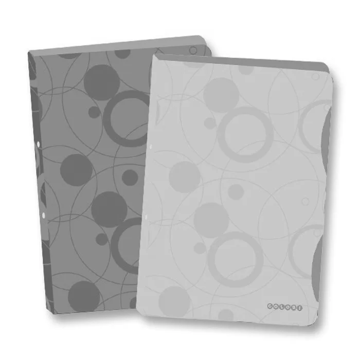 Termék főképe Pořadač PP A4 4kr. Duo Colori