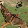 Következő termékkép Becky XS heveder: nyak 40 cm