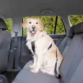 Következő termékkép Autóhám S kutyának: 30-60 cm/20 mm, pl. fehér terrier