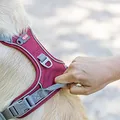 Következő termékkép Postroj PREMIUM ACTIVE, sangria S: 35-50 cm/ 15 mm