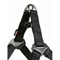 Következő termékkép Hám PREMIUM - fukszia XS-S: mellkas: 30-40cm/10mm