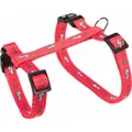 Következő termékkép Hám pórázzal nyúlnak - motívum 25-44/1cm 1,25m