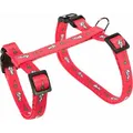 Hám pórázzal nyúlnak - motívum 25-44/1cm 1,25m