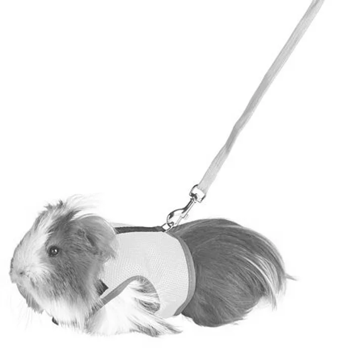 Termék főképe Postroj VESTA s vodítkem pro morče 18-25cm/1,2m