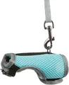 VESTA hám pórázzal 12-18cm/1,2m patkány számára