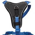 Következő termékkép Hám Y PREMIUM - királykék - AKCIÓS XS-S: mellbőség: 37-45cm/15mm