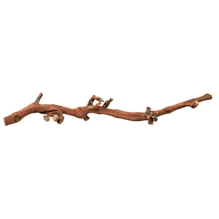 Termék főképe Přírodní dekorace do terária, větev z vinné révy L 40-60cm