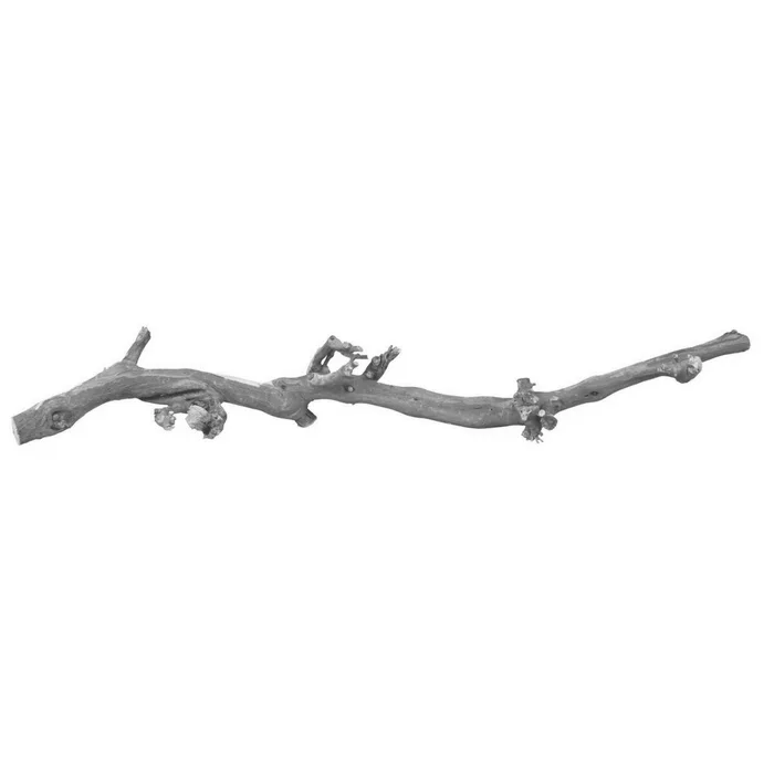Termék főképe Přírodní dekorace do terária, větev z vinné révy L 40-60cm