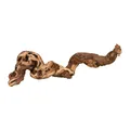 Természetes terráriumi dekoráció, szőlőág M 30-40cm
