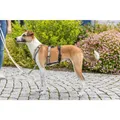 Következő termékkép Protipanický adaptér STAY na postroj, černáM-L: 46-72 cm/ 20 mm