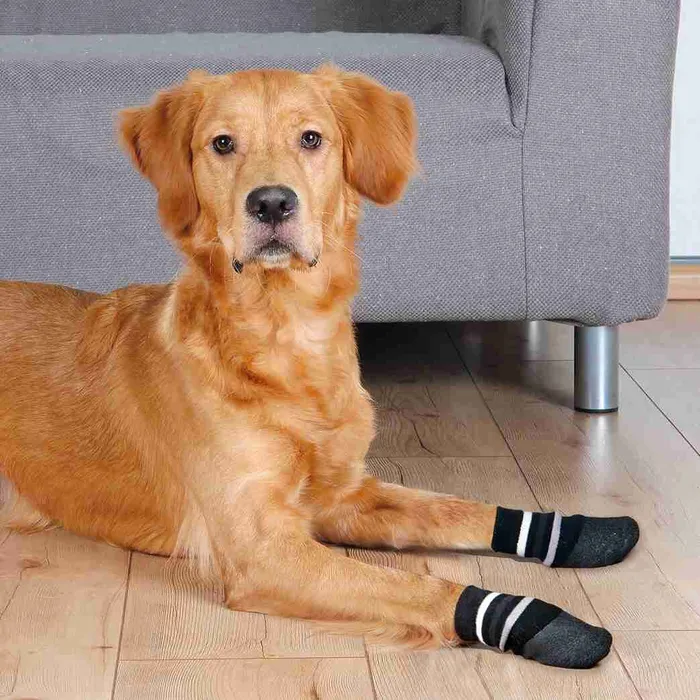 Termék főképe Protiskluzové ponožky černé, 2 ks pro psy bavlna/lycra S-M: např. sheltie