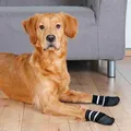 Következő termékkép Csúszásmentes fekete zokni, 2 db kutyáknak pamut/lycra S-M: pl. sheltie