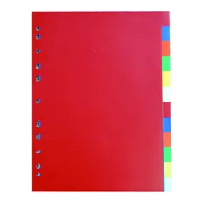 Elválasztó A4, 2x6 szín PP 120my