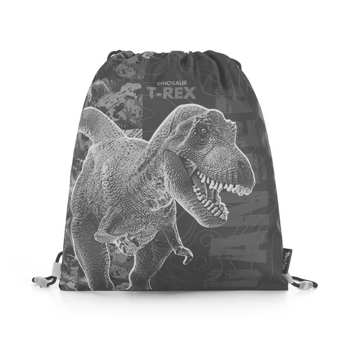 Termék főképe Sáček na cvičky Premium Dinosaurus
