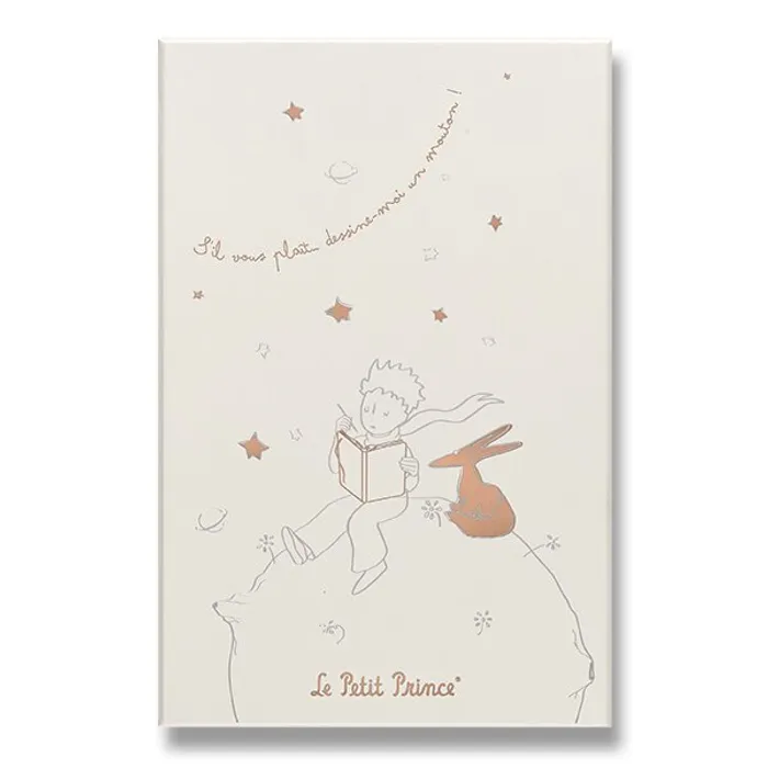 Termék főképe Sada Moleskine Le Petit Prince L, zápisník a diář, sběratelská edice
