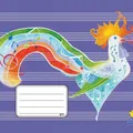 Következő termékkép Workbook 517 • 8 levél • Értesítés vázlat • Kohout