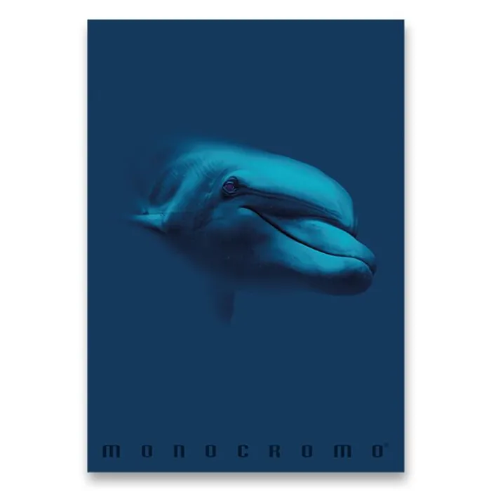 Termék főképe Školní sešit Monocromo Blue A4, linkovaný, 40 listů, mix motivů